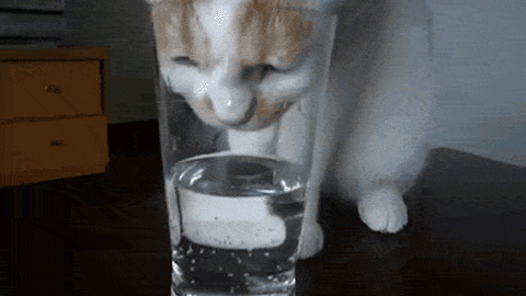 Un bon verre d'eau